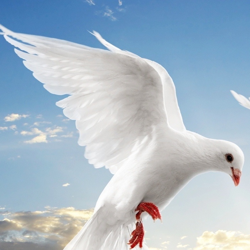 Photo de Tilio SALENGROIS