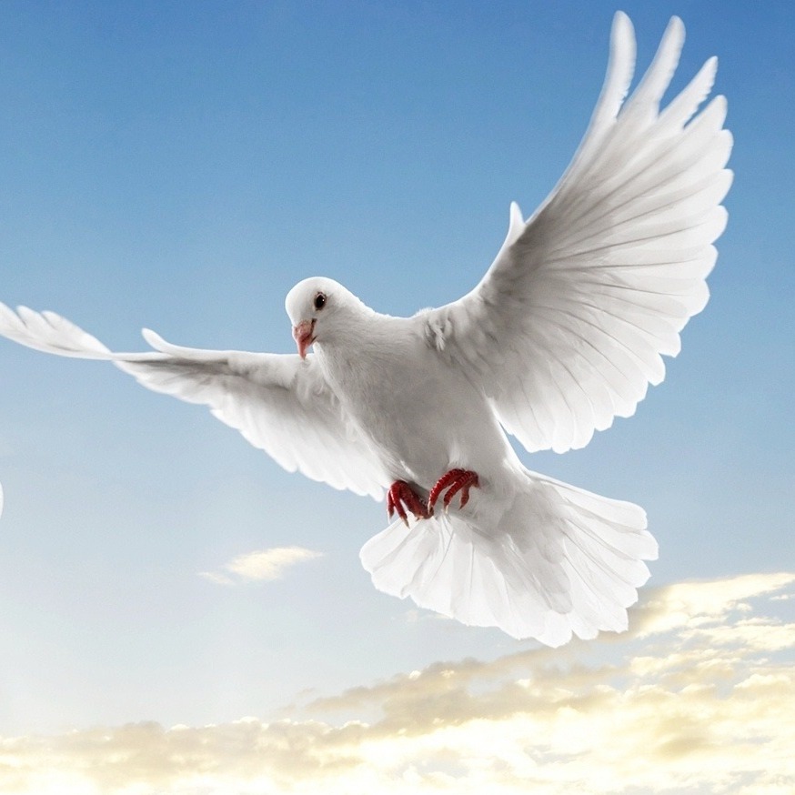 Photo de Martine MARGUERITE